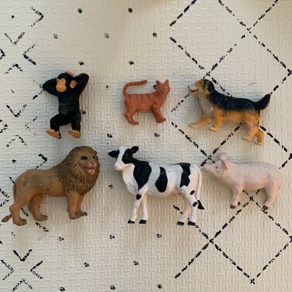 Lovevery Companion Play Kit (Months 22-24) - Montessori Animal Match
. - Picture 5 of 5